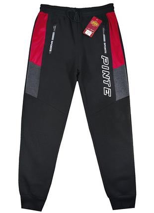 Штани спортивні чоловічі на легкому утеплювачі під манжет l, xl, 2xl, 3xl