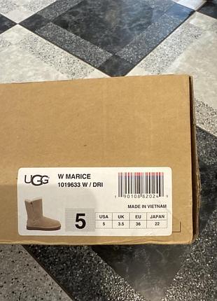 Повний комплект, ugg оригінал 6