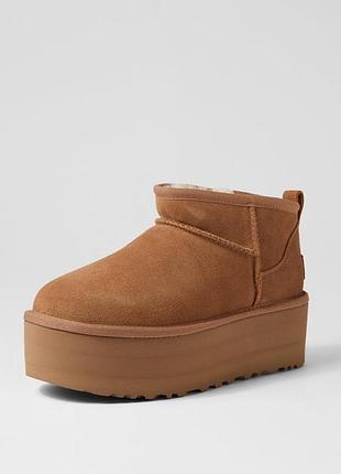 Замшеві чоботи уггі ugg