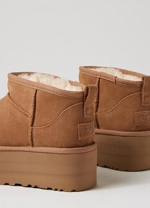 Замшеві чоботи уггі ugg 2