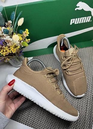 Оригинальные кроссовки adidas