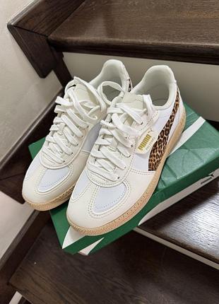 Кросівки жіночі puma 2