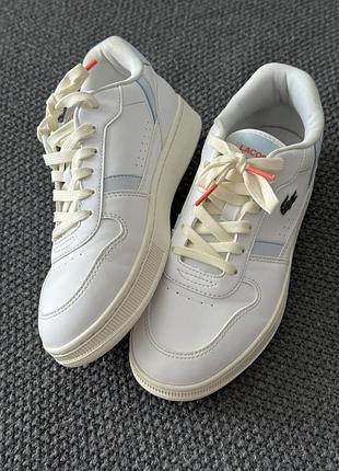 Красовки lacoste жіночі
