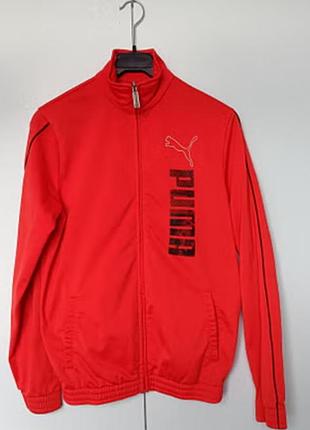 Олімпійка зіпка кофта спортивна унісекс puma