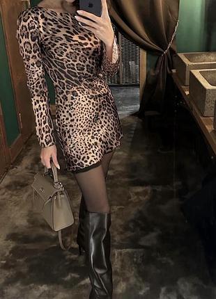 Сукня anna braim