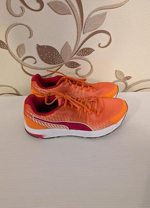 Кросівки жіночі puma sequence v2, 41 6