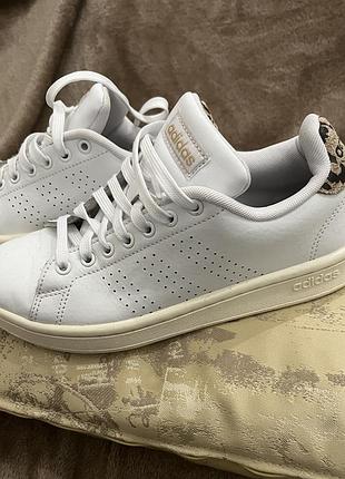 Белые кожаные кроссовки adidas с леопардовым задником, стелька cloudfoam 37.5р.