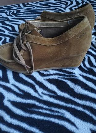 Туфли замша clarks 2