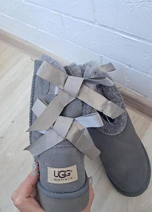 Жіночі зимові уггі ugg bailey bow grey (натуральна замша, овчина)