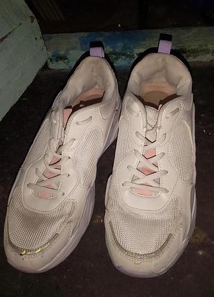 Кросівки жіночі skechers білі