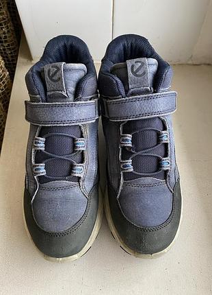 Черевики термо ecco gore-tex 4