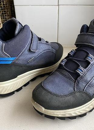 Черевики термо ecco gore-tex 8