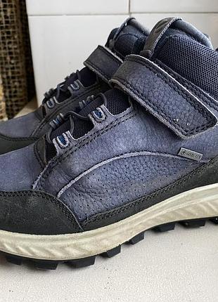 Черевики термо ecco gore-tex 6
