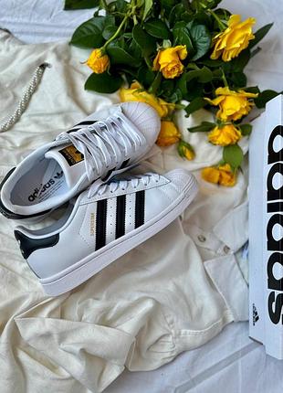 Женские кроссовки adidas superstar качественная экокожа