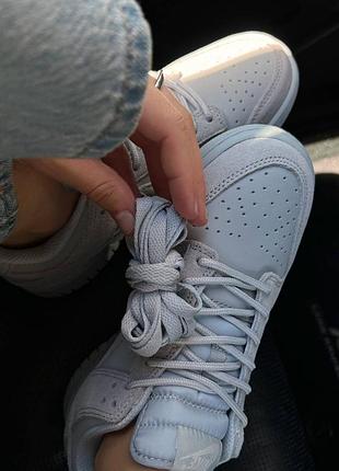 Nike sb dunk low grey premium 2