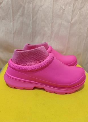 Сабо, кроссовки, шлепанцы ugg tasman x
