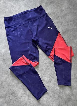 Лосіни puma 5