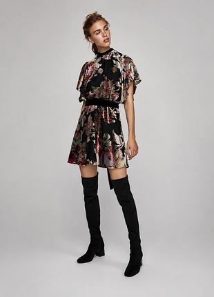 Оксамитова сукня zara