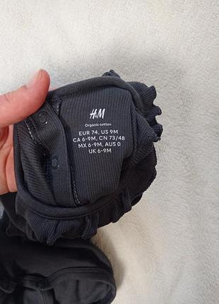 Боди для девочки h&amp;m 74 размера 4