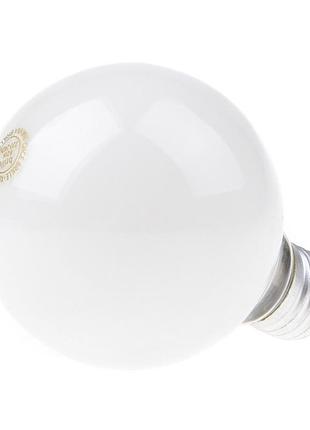 Лампа розжарювання декоративна 60w e27 g80 220v
