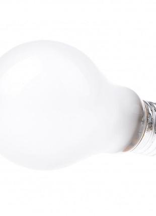 Лампа розжарювання 40w e27 ww a60 fr br 220v