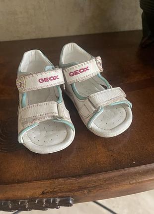 Шкіряні босоніжки geox