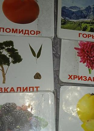 Картки домана 3