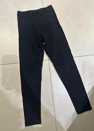 Лосіни zara лосини