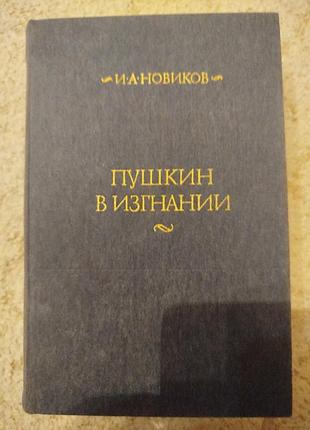 Иван новиков пушкин в изгнании