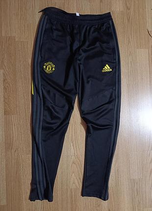 Спортивні брюки відомого бренду adidas climacool,легкі і приємні до тіла,для занять фітнесом