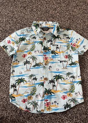 Гавайська сорочка, сорочка з пальмами, літня сорочка h&m для хлопчика