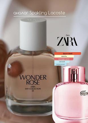 Wonder rose 3