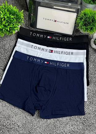 Боксерки tommy hilfiger 2