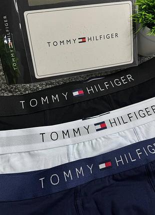 Боксерки tommy hilfiger 8