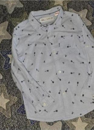 Zara boys рубашка 3-4 р по бирке