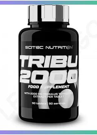 Стимулятор тестостерона scitec nutrition tribu 2000 90 таблеток для підвищення тестостерону та витрива sku_fitsh_cn10646