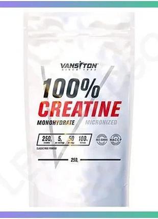 Креатин vansiton creatine monohydrate 250 грам полуниця для набору м'язової маси та відновлення енергі sku_fitsh_cn10426-1