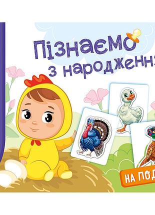 Дитяча розвиваюча гра "пізнаємо з народження: на подвір'ї" 264014, 8 карток