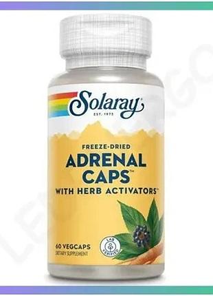 Натуральная добавка solaray adrenal caps 60 вегакапсул для поддержки нервной системы и энергии sku_fitsh_cn10171