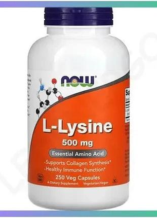 Аминокислота now l-lysine 500 мг 250 капсул для мышечного роста и восстановления энергии sku_fitsh_cn4382