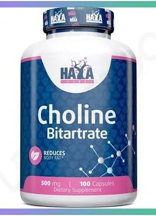 Вітаміни та мінерали haya labs choline bitartrate 500 мг 100 капсул для енергії та покращення мозкової sku_fitsh_cn12125