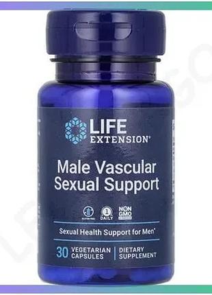 Екстракт тайського чорного імбиру life extension male vascular sexual support 30 вегакапсул для чолові sku_fitsh_cn16557