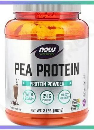 Гороховий протеїн now pea protein 907 грам голландський шоколад рослинний ізолят білка для відновлення sku_fitsh_cn8329-1
