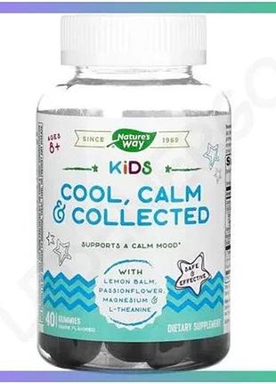 Желейки nature's way kids cool calm collected з мелісою пасифлорою магнієм та l-теаніном для дітей 40 sku_fitsh_cn16261