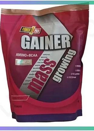 Гейнер power pro gainer 2 кг лісова ягода для набору м'язової маси високовуглеводний спортивний харчов sku_fitsh_cn79-2