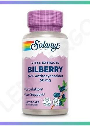Екстракт ягід чорниці solaray bilberry 60 мг 60 вегакапсул для зору та серцево-судинної системи антиок sku_fitsh_cn20477-1