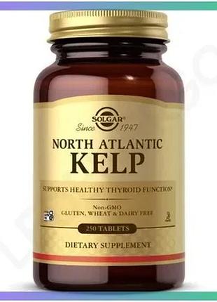 Витамины и минералы solgar north atlantic kelp 250 таблеток для поддержки щитовидной железы и здоровья sku_fitsh_cn12445