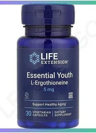 Экстракт мелиссы и l-теанин life extension 5 мг 30 вегакапсул для расслабления и улучшения сна sku_fitsh_cn16493
