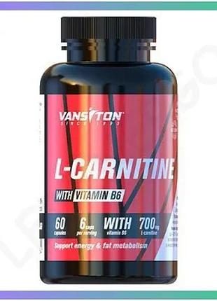 Жиросжигатель vansiton l-carnitine 60 капсул для снижения веса и повышения энергии для мужчин и женщин sku_fitsh_cn10379