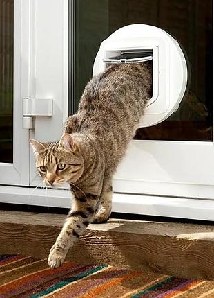 Дверца для котов sureflap microchip cat flap sur001 5